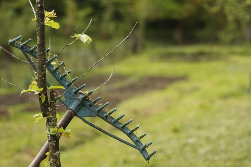 Gardening Image