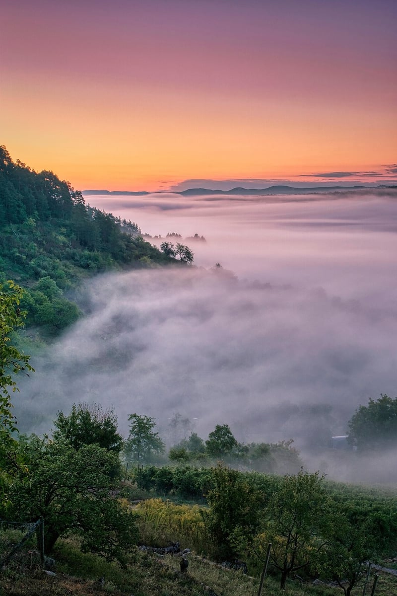 Mystical Garden